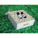 Romantic Floral Set - Box EO 